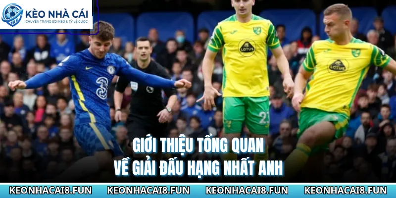 Giới thiệu tổng quan về giải đấu hạng nhất Anh 
