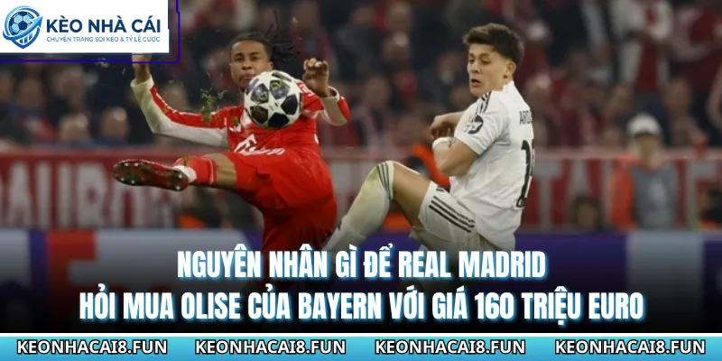 Nguyên nhân gì để Real Madrid hỏi mua Olise của Bayern với giá 160 triệu Euro