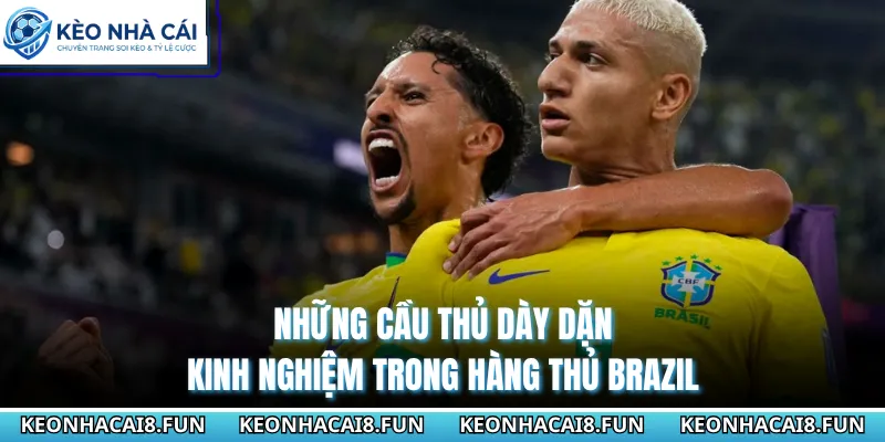 Những cầu thủ dày dặn kinh nghiệm trong hàng thủ Brazil