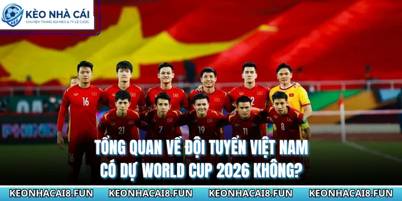 Tổng quan về đội tuyển việt nam có dự world cup 2026 không?