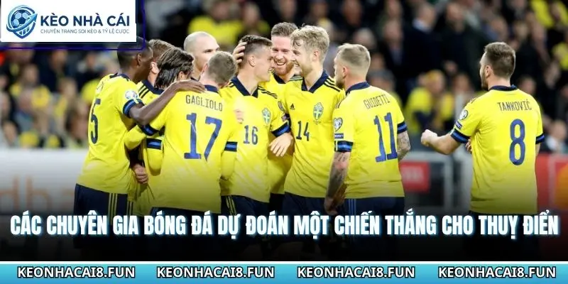 Các chuyên gia bóng đá dự đoán một chiến thắng cho Thuỵ Điển