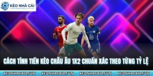 Cách Tính Tiền Kèo Châu Âu 1X2 Chuẩn Xác Theo Từng Tỷ Lệ 5 Cách tính tiền kèo châu Âu 1x2