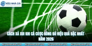 Cách Xả Xui Khi Cá Cược Bóng Đá Hiệu Quả Bậc Nhất Năm 2026 12 Cách xả xui khi cá cược bóng đá
