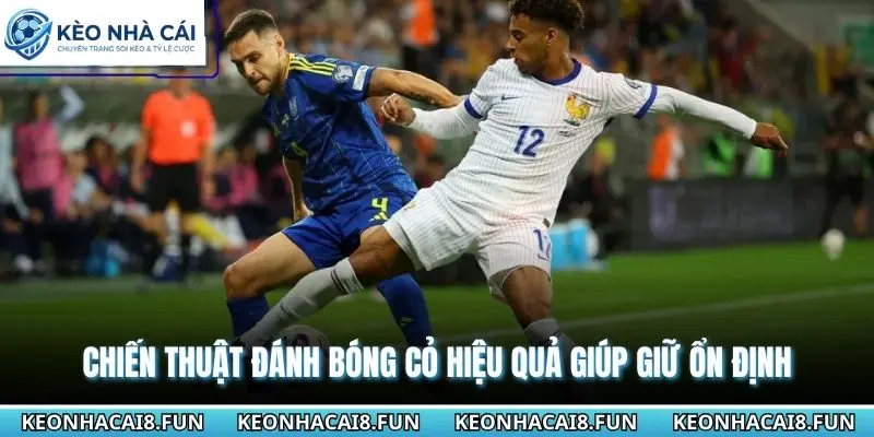 Chiến Thuật Đánh Bóng Cỏ Hiệu Quả Giúp Giữ Ổn Định 1 Chiến thuật đánh bóng cỏ hiệu quả