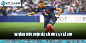 Kèo Tài Xỉu 2 1/4 Là Sao - Cách Đọc Kèo Chuẩn Nhất 2026 6 Kèo tài xỉu 2 1/4 là sao