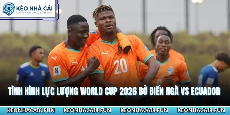 Tình hình lực lượng World Cup 2026 Bờ Biển Ngà vs Ecuador